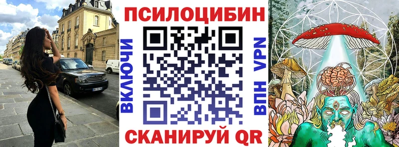 кракен зеркало цена Ельня Псилоцибиновые грибы GOLDEN TEACHER